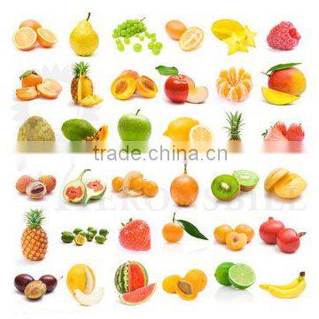 SPRAY DRIED POWDER MADE FROM FRUIT , VAGETABLES, LEAVES