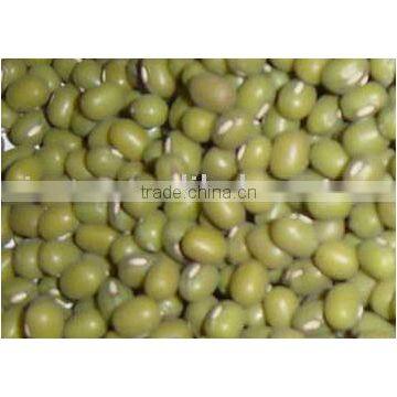 GREEN MUNG BEAN