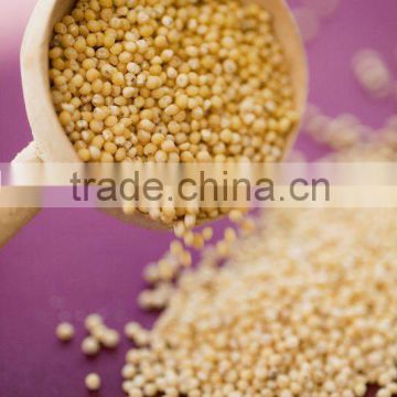 white millet