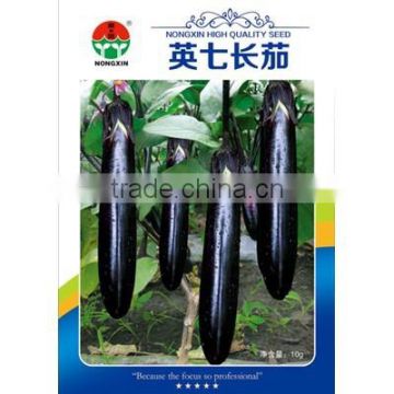 Hybrid F1 Long Black Eggplant Seeds For Growing-Long Eggplant No.7