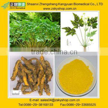 Berberine Hydrochloride 5%-98%, Goldthread root extract