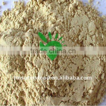 Dehydrated Ginger Powder