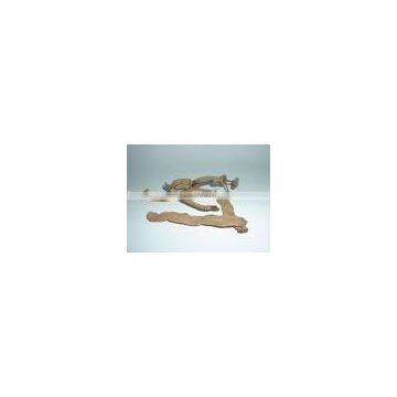 Morinda Root Extract
