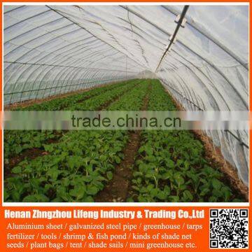 pe greenhouse anti insect proof net , 100% virgin hdpe anti uv anti insect net , nylon agricultural anti insect net