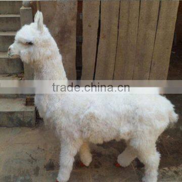Popular Garden Decor Lifelike Alpaca Toys Wholesale Peru