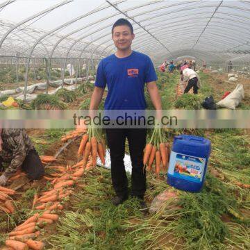 Amino Acids,Alginic Acid, Mannitol, Calcium(Ca)Liquid Soluble Fertilizer photo-5