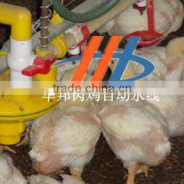 cconvenient cleaning chicken feeding line for poultry farm poultry feed manufacturing equipment