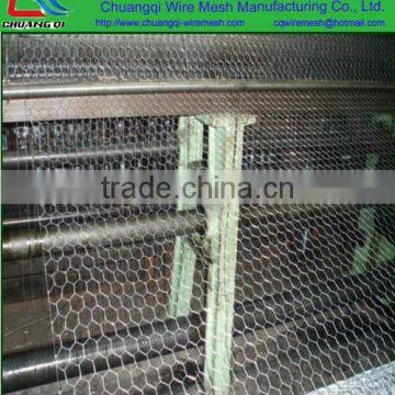 Hot-dipped galvanized or PVC coated hexagonal wire mesh/chicken wire mesh