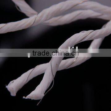 electric wrie rope