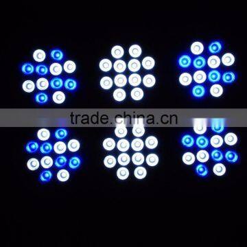 High Quality Apollo Cob 6 Led Grow Light for Grow Plant photo-5