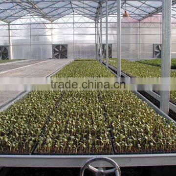 BaoLiDa Low Price Polyethylene Greenhouse Galvanized Steel Pipe Potato Greenhouse photo-3