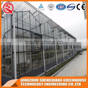 China factory direct greenhouse with wind resistance steel frame