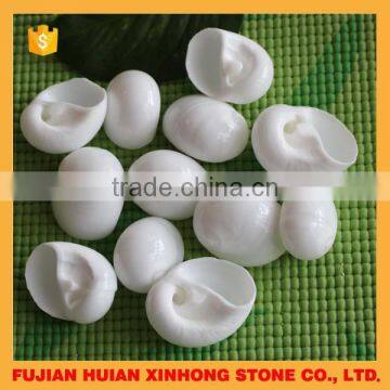 new arrival top sale popular fashion shell in 2015