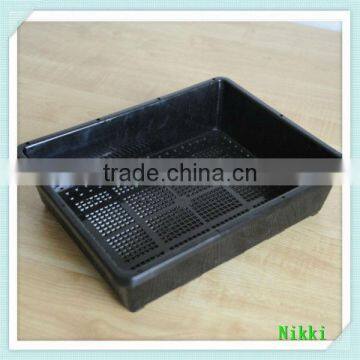 plastic tray without holes garden bed seeds