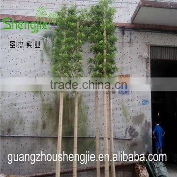 SJLJ013495 Artificial Tree and Plant Decorative Artificial Bamboo photo-3