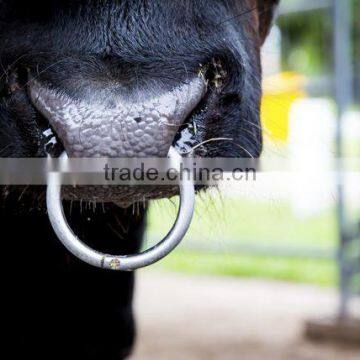 calf nose weaning rings