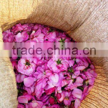 Indian Rose Oil Pure Fresh photo-3