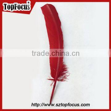 Dyed Bulk Imitation Wholesale Feathers for Carnival Costumes for Sale photo-5