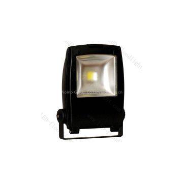 10W LED Flood light