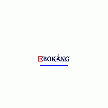 Bokang Instruments Co., Ltd.