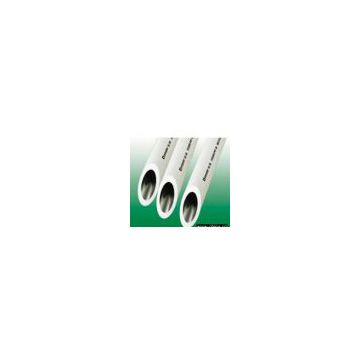 Sell Stainless Steel Seamless Pipes