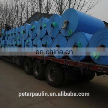 China Powerful Tarpaulin Factory Directly Sell, PE Tarpaulin Sheet, Made of 100% Polyethylene photo-6
