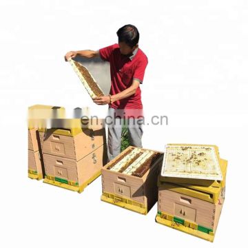 Hot sale Food Grade langstroth beehive bee hive box bee beekeeping supplies for sale