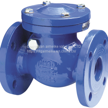 Water 890 Cast Iron Swing Spring Loaded Check Valve For EN1092 PN16