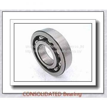 CONSOLIDATED Bearing