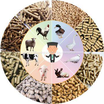 1-３Ｔ/Ｈ Pourltry Livestock Feed Pellet Processing Machine Plant , Pellet Feed Production Line photo-5