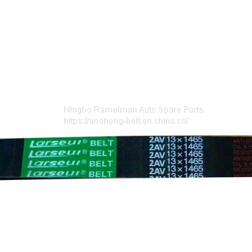 Supply All Kinds of Industrial Belts and Agricultural Belt 51*22*1900La D120LI SPB SPA XPA XPB XPC photo-2