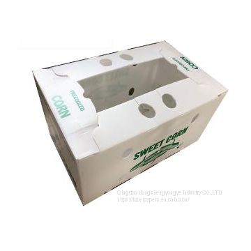 plastic pp corrugated corn box