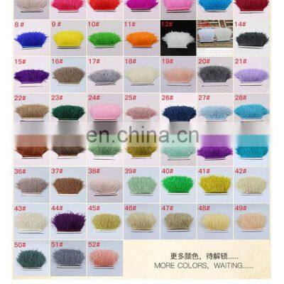 1 Meter Multicolor Real Ostrich Feather Trims Ribbon 8-10cm White Ostrich for Dress Clothing Decoration Sewing Feathers Crafts photo-2