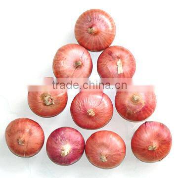 Chinese red onion