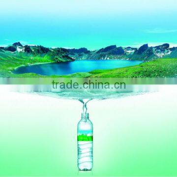 5000-6000BPH Packaged Drinking Water Filling Plant