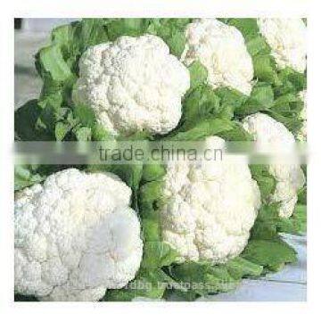Fresh Cauliflower Exporters/gobi Suppliers in India/fresh Vegetables Export photo-3