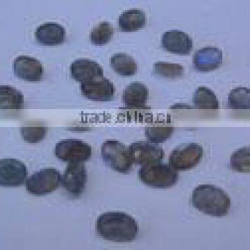 Black Onyx mq. cab gem stones