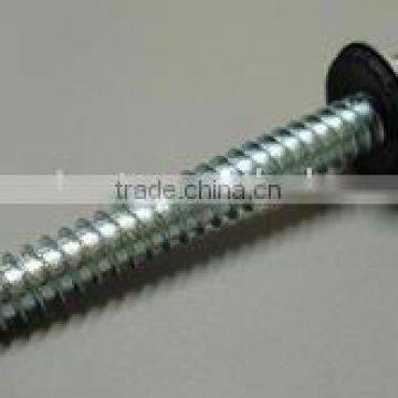 Roofing Screw with Washer