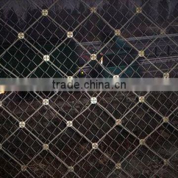 Protection Wire Mesh Netting for slope/Slope protective netting/hebei tuosheng