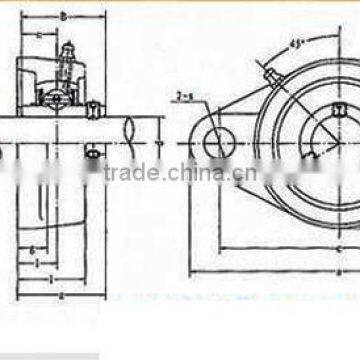 All Kinds of Bearing Fl212 Pillow Block Bearing Ucfl212 photo-6