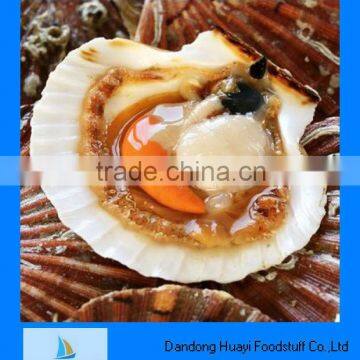 Frozen scallops IQF roe