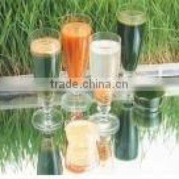 Waterproof Adhesive PP Synthetic Paper