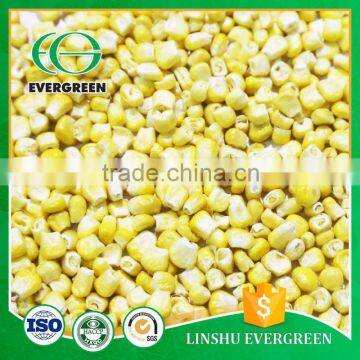 Pure hot sale sell freeze dried sweet corn                        
                                                                                Supplier's Choice