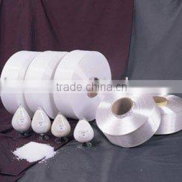 Nylon Poy Yarn 32D/12F SD