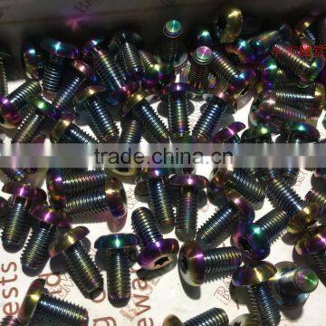China Supplier Pure GR2 Titanium Hexagon Head Bolts/screw photo-5