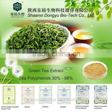 Organic Green Tea Extract, 95% tea polyphenols