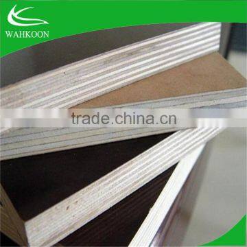 Two Time Hot Press Film Faced Plywood Dubai Plywood photo-3