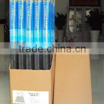 PP Woven Weed Mat/ground Cover /weed Barrier Mat for Agriculture photo-6