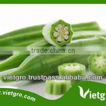 High Yield OP Okra Seed - O.1