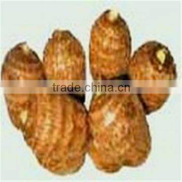 Hot sale fresh Taro/dried taro